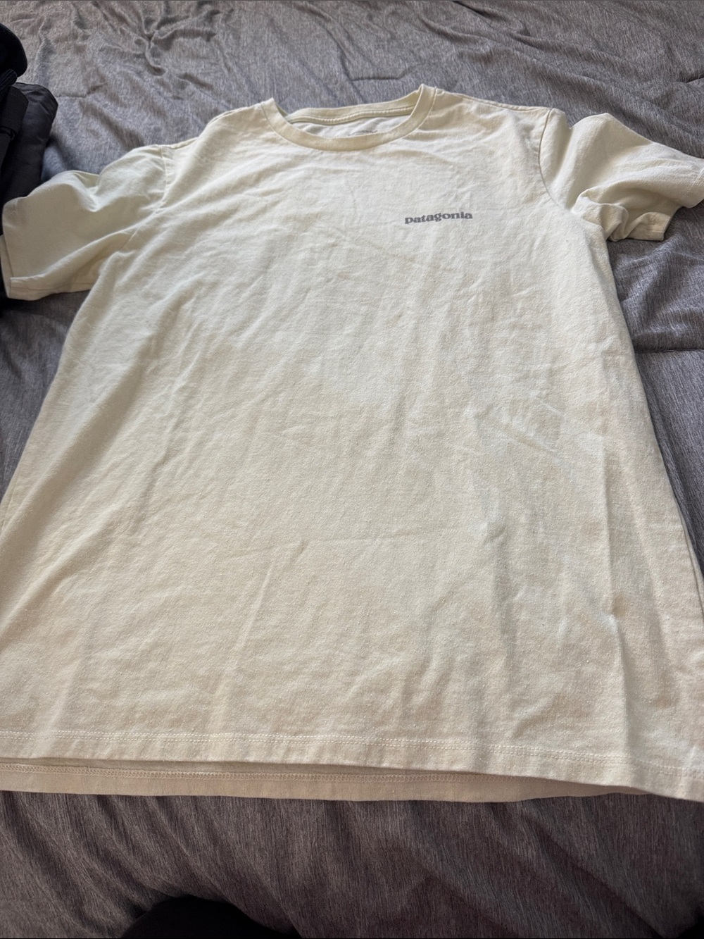 Patagonia Cream Short Sleeve Logo Tee